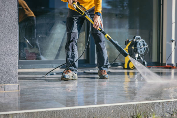 Best Roof Cleaning and Mildew Removal in Farmville, VA